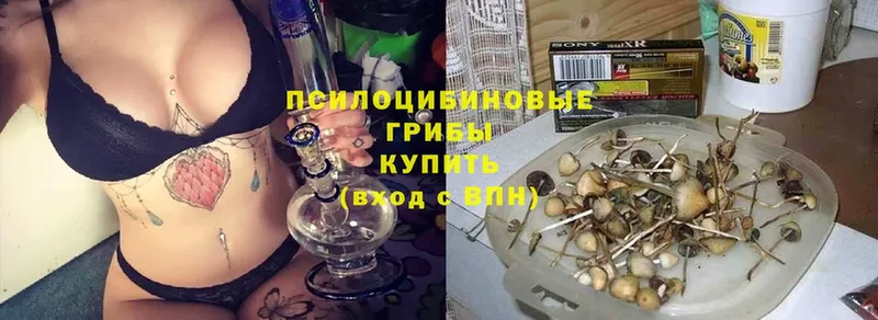 Псилоцибиновые грибы прущие грибы  наркота  Никольское 